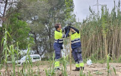 Actuacions de restauració al riu Francolí amb el projecte Ribérate de Fundación Biodiversidad
