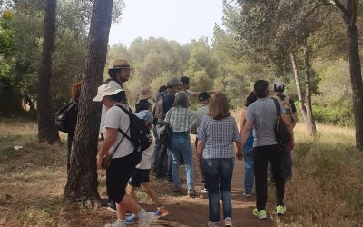 Descoberta de fauna i flora al barri de Sant Salvador