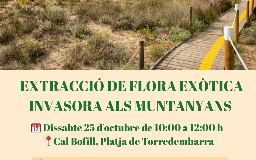 Voluntariat ambiental a l’Espai Natural Protegit Platja de Torredembarra i Creixell