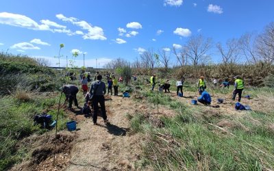 Conservem i coneixem el riu Francolí amb la Diputació de Tarragona