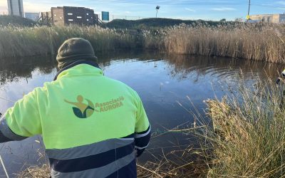 Les Madrigueres: Protegint l’últim refugi de la biodiversitat i el patrimoni ramader al litoral del Baix Penedès