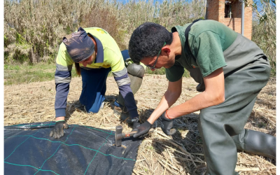 L’Associació Aurora impulsa la millora ambiental del torrent del Bogatell als Garidells i la Secuita