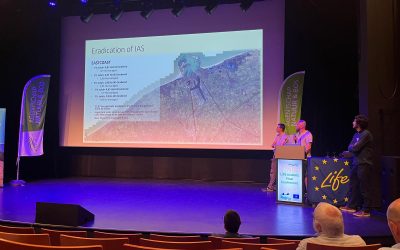 Els primers resultats dels experiments de control d’espècies invasores dels Muntanyans i el Gorg es presenten al congrés europeu LIFE DUNIAS